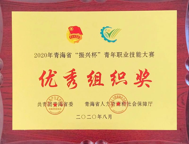 2020年8月青海省“振兴杯”青年职业技能大赛优秀组织奖